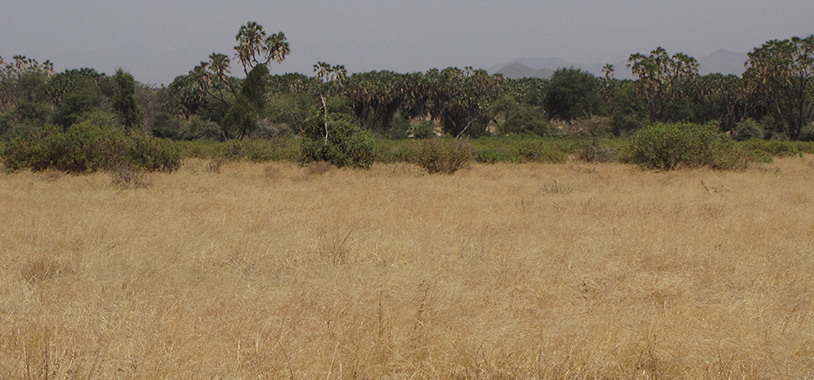 Samburu National Reserve